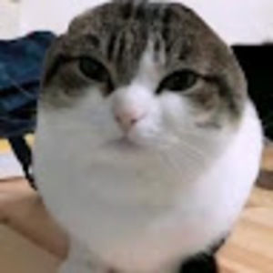 Meet your Posher, Parker